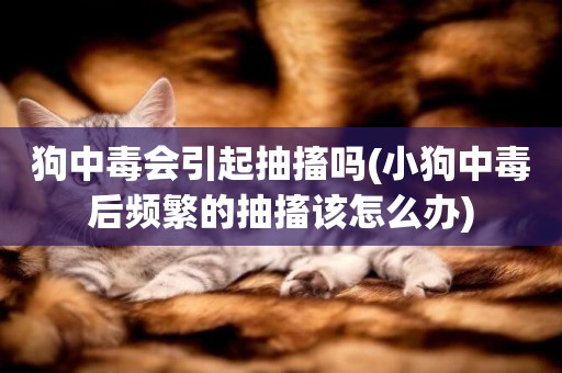狗中毒會引起抽搐嗎(小狗中毒后頻繁的抽搐該怎么辦)
