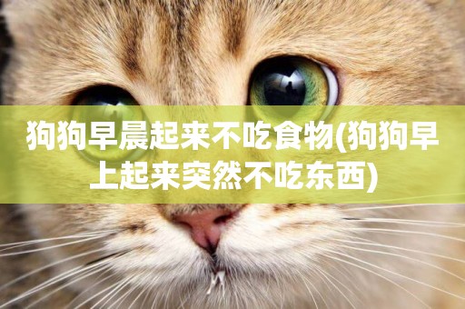 狗狗早晨起來不吃食物(狗狗早上起來突然不吃東西)