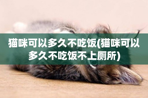 貓咪可以多久不吃飯(貓咪可以多久不吃飯不上廁所)