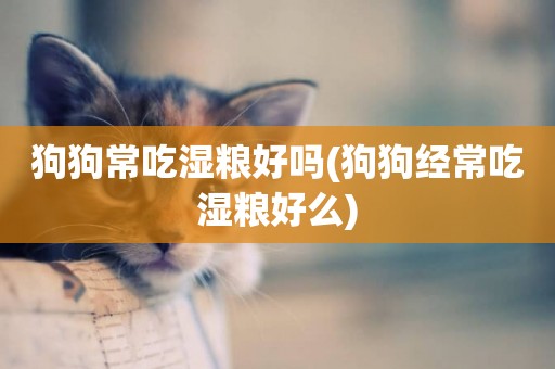 狗狗常吃濕糧好嗎(狗狗經常吃濕糧好么)