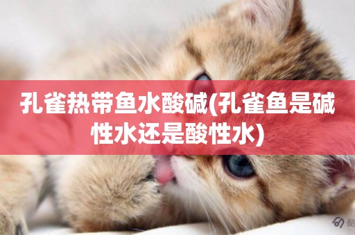 孔雀熱帶魚水酸堿(孔雀魚是堿性水還是酸性水)