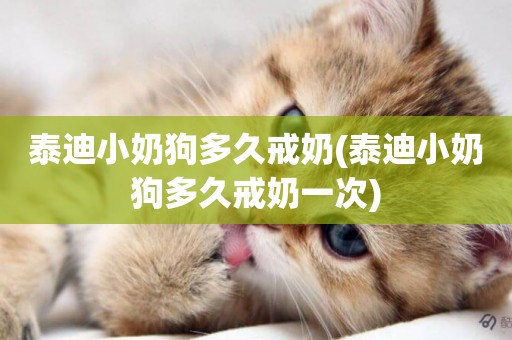 泰迪小奶狗多久戒奶(泰迪小奶狗多久戒奶一次)