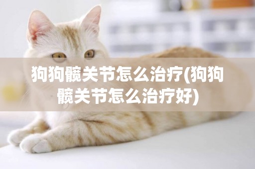 狗狗髖關節怎么治療(狗狗髖關節怎么治療好)