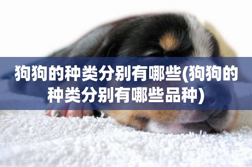狗狗的種類分別有哪些(狗狗的種類分別有哪些品種)