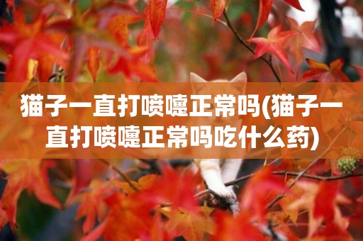 貓子一直打噴嚏正常嗎(貓子一直打噴嚏正常嗎吃什么藥)