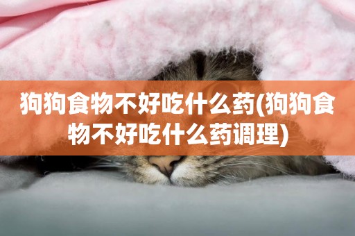 狗狗食物不好吃什么藥(狗狗食物不好吃什么藥調理)