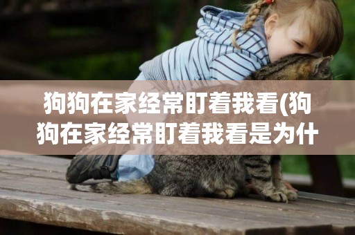 狗狗在家經常盯著我看(狗狗在家經常盯著我看是為什么)