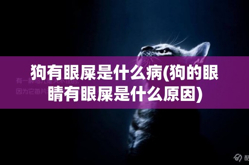 狗有眼屎是什么病(狗的眼睛有眼屎是什么原因)