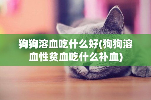 狗狗溶血吃什么好(狗狗溶血性貧血吃什么補血)
