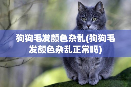 狗狗毛發顏色雜亂(狗狗毛發顏色雜亂正常嗎)