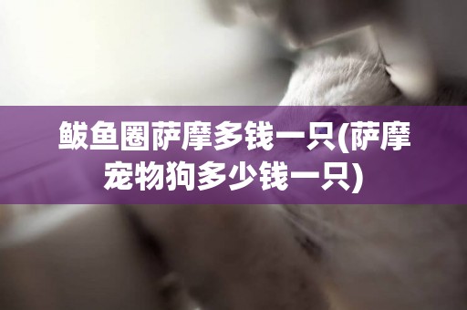 鲅魚圈薩摩多錢一只(薩摩寵物狗多少錢一只)