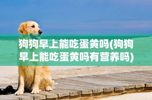 狗狗早上能吃蛋黃嗎(狗狗早上能吃蛋黃嗎有營養嗎)