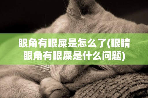 眼角有眼屎是怎么了(眼睛眼角有眼屎是什么問題)