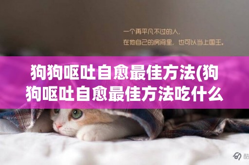 狗狗嘔吐自愈最佳方法(狗狗嘔吐自愈最佳方法吃什么藥)