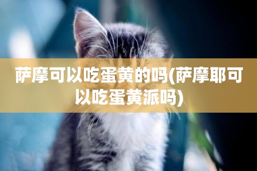 薩摩可以吃蛋黃的嗎(薩摩耶可以吃蛋黃派嗎)
