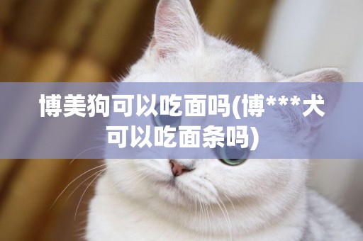 博美狗可以吃面嗎(博***犬可以吃面條嗎)