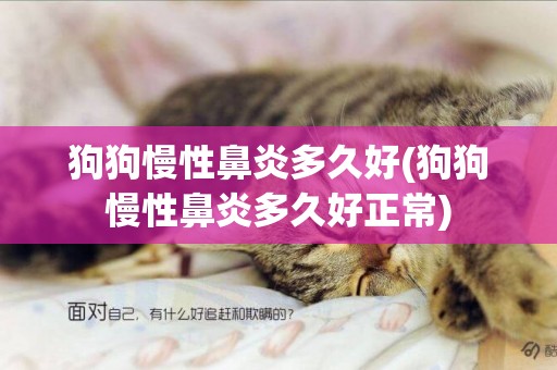 狗狗慢性鼻炎多久好(狗狗慢性鼻炎多久好正常)