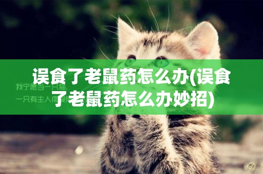 誤食了老鼠藥怎么辦(誤食了老鼠藥怎么辦妙招)
