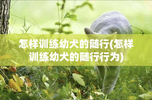 怎樣訓練幼犬的隨行(怎樣訓練幼犬的隨行行為)