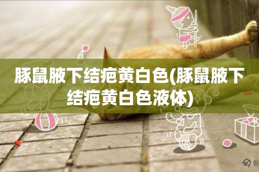 豚鼠腋下結疤黃白色(豚鼠腋下結疤黃白色液體)