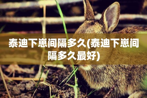 泰迪下崽間隔多久(泰迪下崽間隔多久最好)