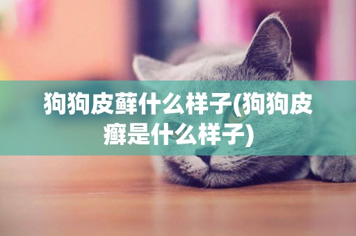 狗狗皮蘚什么樣子(狗狗皮癬是什么樣子)