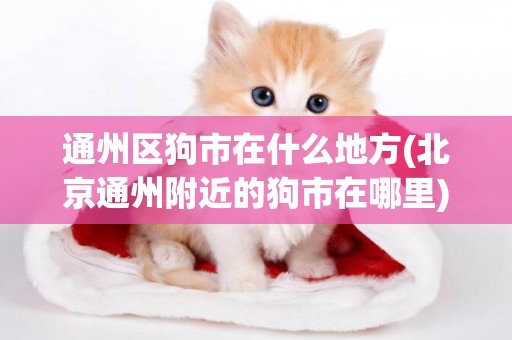 通州區狗市在什么地方(北京通州附近的狗市在哪里)