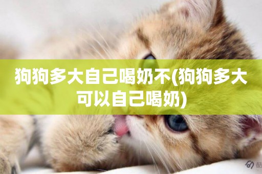 狗狗多大自己喝奶不(狗狗多大可以自己喝奶)