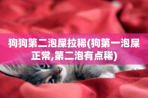 狗狗第二泡屎拉稀(狗第一泡屎正常,第二泡有點稀)