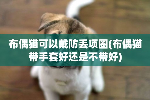 布偶貓可以戴防丟項圈(布偶貓帶手套好還是不帶好)