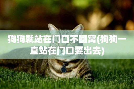 狗狗就站在門口不回窩(狗狗一直站在門口要出去)