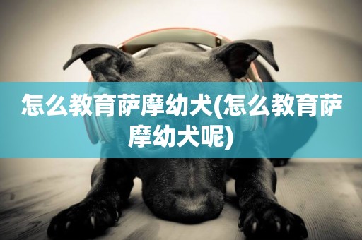 怎么教育薩摩幼犬(怎么教育薩摩幼犬呢)