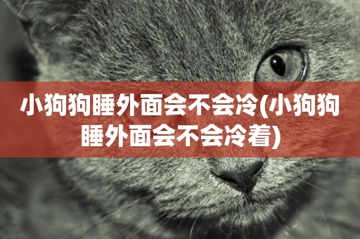 小狗狗睡外面會不會冷(小狗狗睡外面會不會冷著)