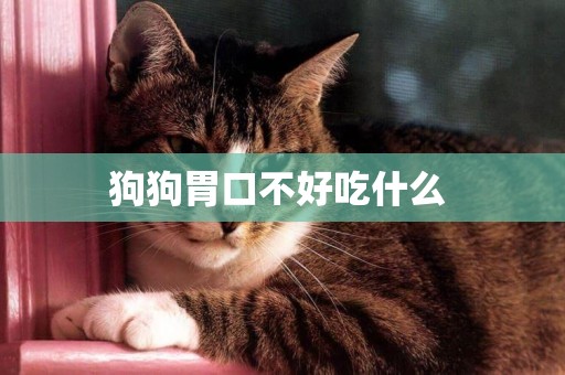 狗狗胃口不好吃什么 