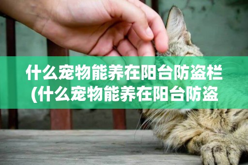 什么寵物能養在陽臺防盜欄(什么寵物能養在陽臺防盜欄里)