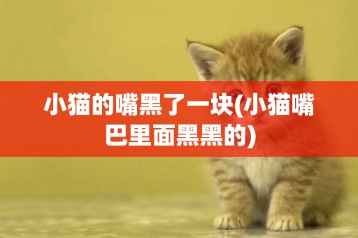 小貓的嘴黑了一塊(小貓嘴巴里面黑黑的)