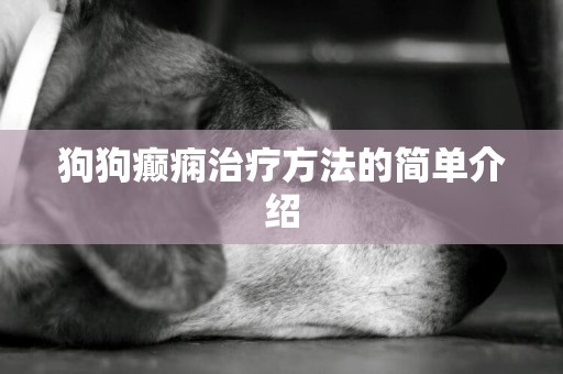 狗狗癲癇治療方法的簡單介紹