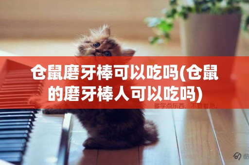 倉鼠磨牙棒可以吃嗎(倉鼠的磨牙棒人可以吃嗎)