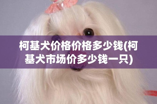 柯基犬價格價格多少錢(柯基犬市場價多少錢一只)