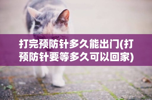 打完預防針多久能出門(打預防針要等多久可以回家)