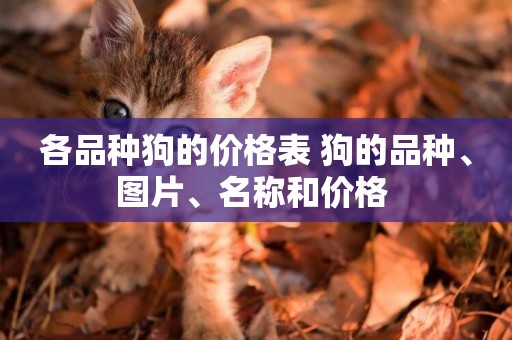 各品種狗的價格表 狗的品種、圖片、名稱和價格 