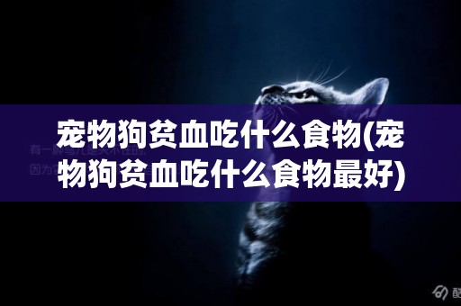 寵物狗貧血吃什么食物(寵物狗貧血吃什么食物最好)