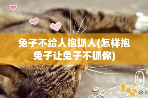 兔子不給人抱抓人(怎樣抱兔子讓兔子不抓你)
