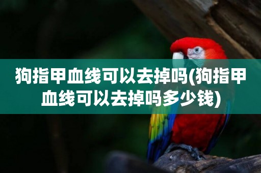狗指甲血線可以去掉嗎(狗指甲血線可以去掉嗎多少錢)