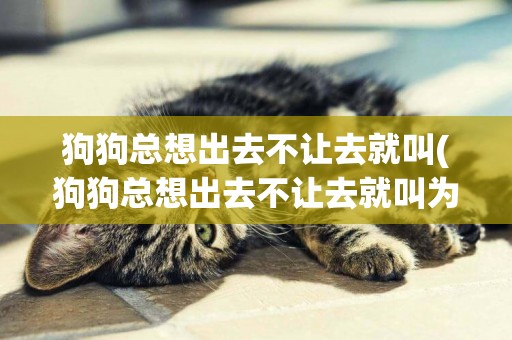 狗狗總想出去不讓去就叫(狗狗總想出去不讓去就叫為什么)