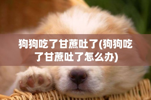 狗狗吃了甘蔗吐了(狗狗吃了甘蔗吐了怎么辦)