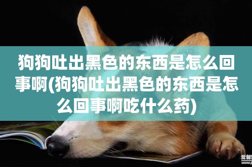 狗狗吐出黑色的東西是怎么回事啊(狗狗吐出黑色的東西是怎么回事啊吃什么藥)