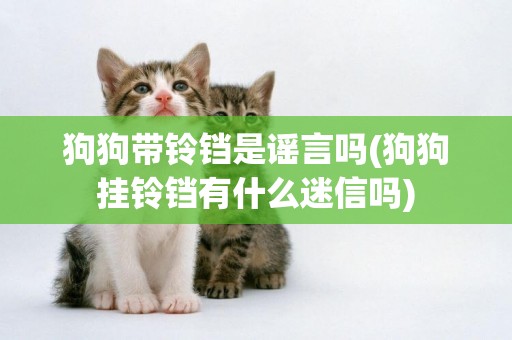 狗狗帶鈴鐺是謠言嗎(狗狗掛鈴鐺有什么迷信嗎)