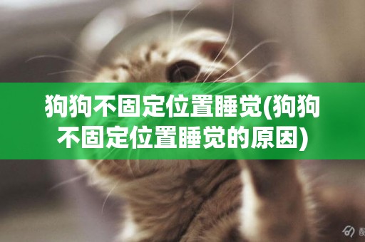 狗狗不固定位置睡覺(狗狗不固定位置睡覺的原因)