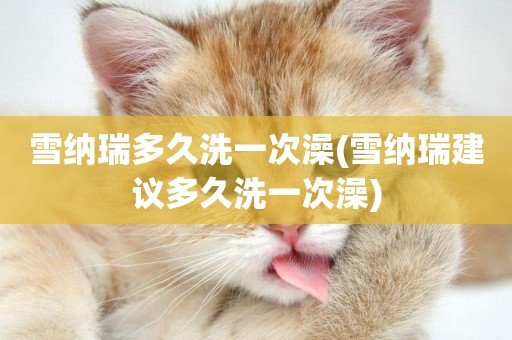 雪納瑞多久洗一次澡(雪納瑞建議多久洗一次澡)